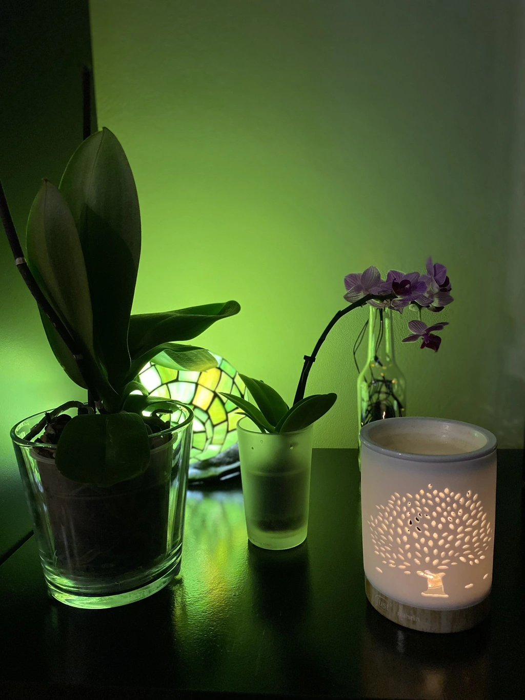 Aroma lampička a orchideje ve večerní atmosféře